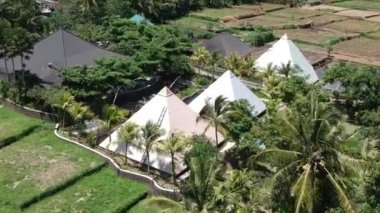Kuadrokopter Ubud Bali 'deki chi piramitleri boyunca uçar, ormandaki palmiye ağaçları ve piramitler açık güneşli havada mavi gökyüzüne ve pirinç tarlalarına karşı görünür.