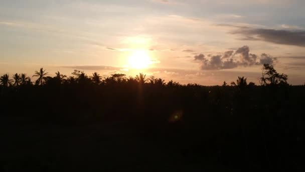 Беспилотник прекрасно взлетает через пальмы на закат, в Убуд-Бали, против сине-оранжевого неба с живописными облаками. солнце появляется — стоковое видео