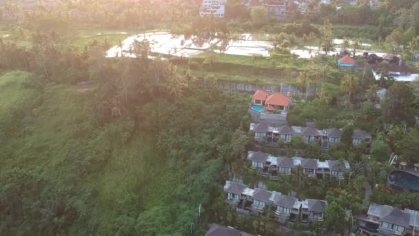 Hotel im Zentrum von Ubud in einem malerischen Dschungel rund um viele Palmen — Stockvideo