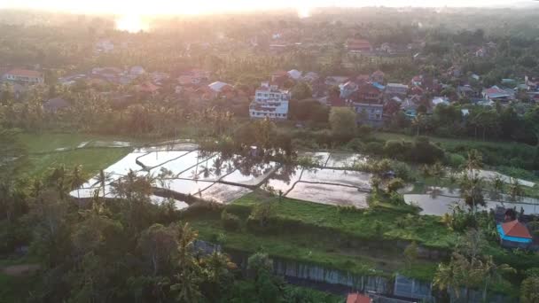 Vuelo al atardecer sobre Ubud durante una pintoresca puesta de sol, el cielo se refleja en los campos de arroz — Vídeos de Stock