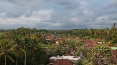 Ubud Bali yakınlarındaki Petulu balıkçıllı kuş kolonisi gözlem noktası.