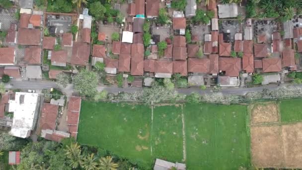 Landen in een dorp waar er veel witte kranen petulu reiger vogel kolonie horloge punt in de buurt ubud bali — Stockvideo