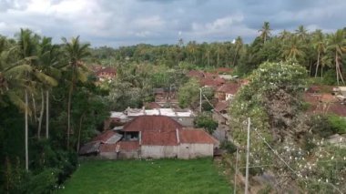 Ubud Bali yakınlarındaki Turna Köyü 'nün üzerinde uçuyorlar.