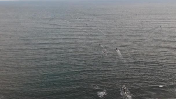 Рибалки плавають в океані, щоб рибалити — стокове відео