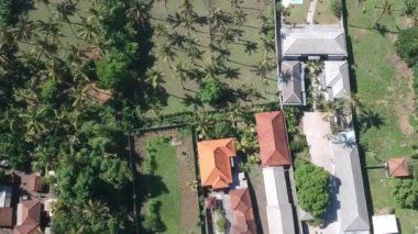 Palmiye ağaçları ve otel Prancak Perama bali Endonezya