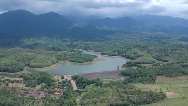 Μια μεγάλη λίμνη στο παρασκήνιο των βουνών και του πράσινου σε ηλιόλουστο καιρό Waduk Palasari Ekasari Melaya Jembrana, Μπαλί Ινδονησία — Αρχείο Βίντεο