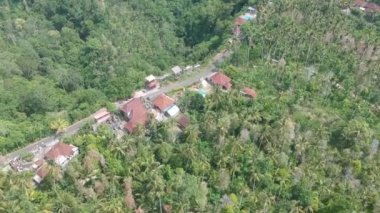 Cotinus coggygria çalılıklarında ve Endonezya 'nın güneşli havasında palmiye ağaçlarında kırmızı çatıları olan evler yol boyunca uzanır.