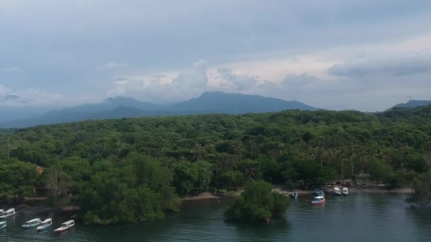S'approchant du rivage depuis l'eau jungle tropicale visible et montagnes contre le ciel bleu par temps ensoleillé près de l'eau du bateau — Video