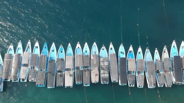 Start upp över många blå fiskebåtar anslutna till varandra mot en bakgrund av blått vatten i soligt väder bali indonesien Labuan Lalang menuju Nusabay Menjangan — Stockvideo