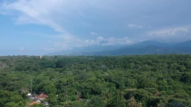 Güneşli bir havada mavi gökyüzüne karşı tropikal bir ormanla mavi dağlarla havalan.