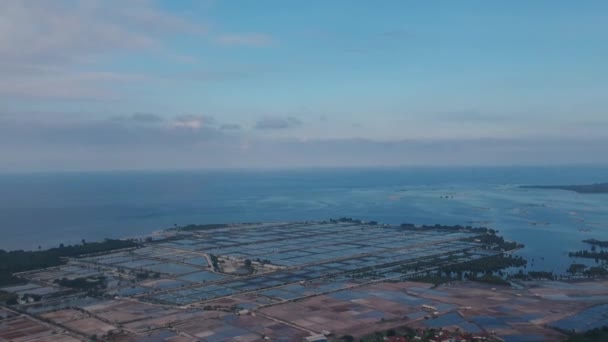 View of the fish farms from the drone and salt prey Pejarakan Gerokgak Buleleng Bali — Stock Video