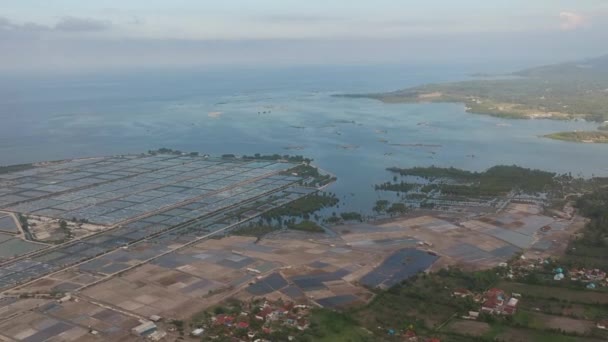 Vista de las piscifactorías desde el dron y la extracción de sal en tiempo soleado Pejarakan Gerokgak Buleleng Bali — Vídeo de stock