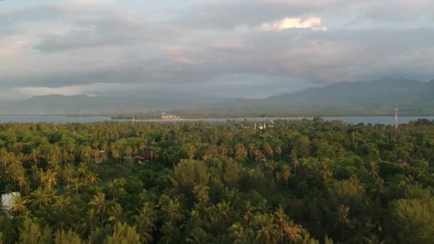 Піднятися над пальмами вгору і видимою водою, що відокремлює острів і материкові гори — стокове відео