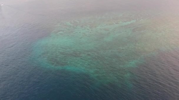 ターコイズブルーの海に浮かぶ美しい海底棚です — ストック動画