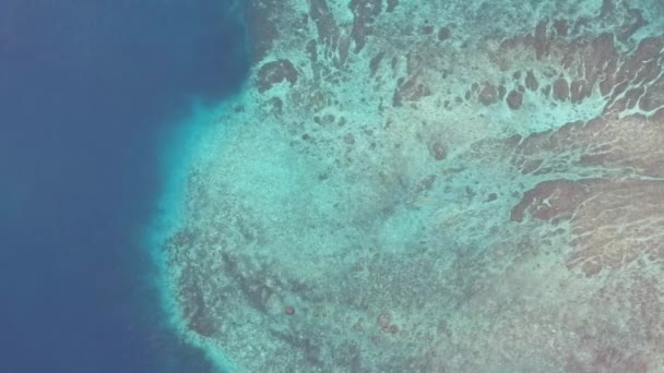 İnsansız hava aracı, su altındaki bir adanın üzerinde Turkuaz bir okyanusta, iyi havasının önünde. — Stok video