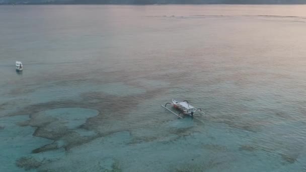 Flyger bakom en vit båt med landning till vattnet — Stockvideo