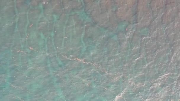 Spann av en kamera som skjuter ner över skräp och en pittoresk ocean hylla med vita vågor — Stockvideo