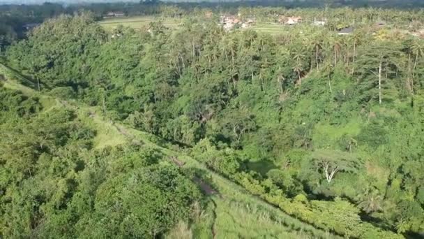 Campuhan Ridge Wanderweg in Ubud, Bali bei sonnigem Wetter — Stockvideo