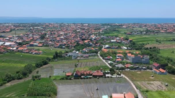 Canggu bali vista aérea kuta — Vídeo de stock