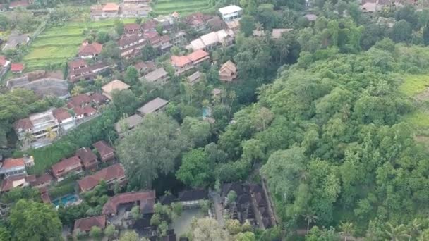 drone volant par temps ensoleillé à Ubud, maisons aux toits lumineux, jungle de palmiers et montagnes à l'horizon sont visibles 