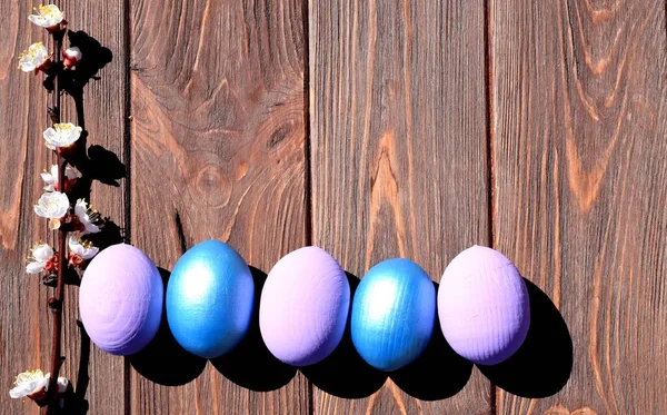 Oeufs Pâques Sur Fond Bois Brun — Photo