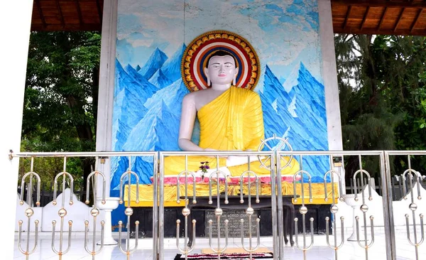 斯里兰卡的佛像 — 图库照片