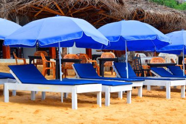 Palmiye ağaçlarının altında güneşlenmiş, Hikkaduwa, Sri Lanka