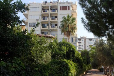 Türkiye Antalya Yeşillik Tatil Köyü 'nde Palmiyeli Eski Yaşayan Binalar - Oasis Gölgesi