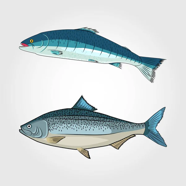 Ruční Kreslení Vektorové Ilustrace Ryb — Stock fotografie