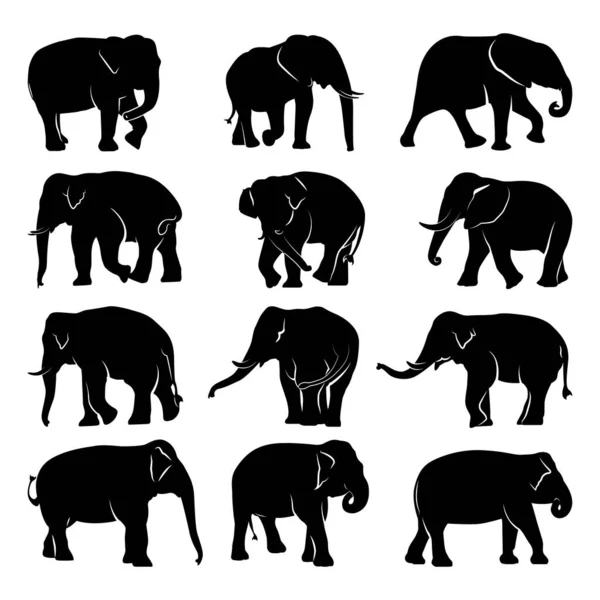 Handritad Elephant Siluett Samling — Stock vektor