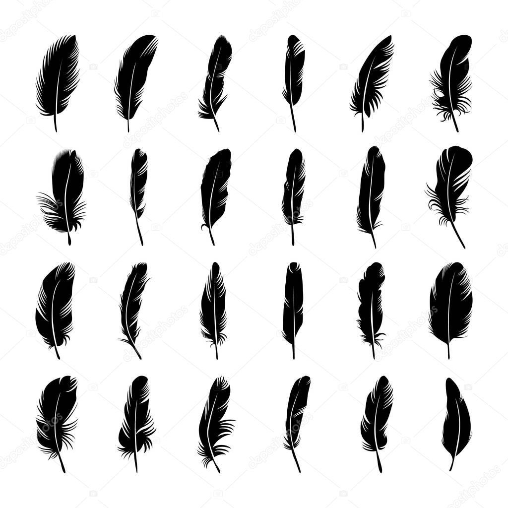 Hand Drawn black silhouette feather collection