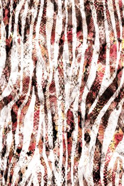 Zebra çizgili, kusursuz, parlak bir yılan deseni.