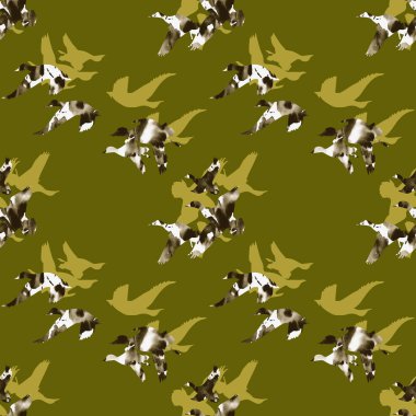 Ördeklerle renksiz parlak desen 