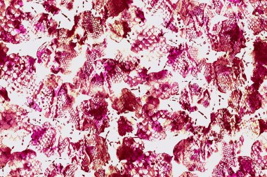 Çiçekli, renksiz bir yılan deseni.