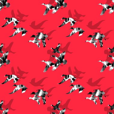 Ördeklerle renksiz parlak desen 