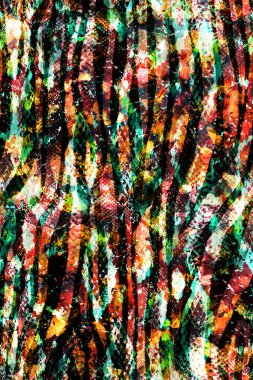 Zebra çizgili, kusursuz, parlak bir yılan deseni.