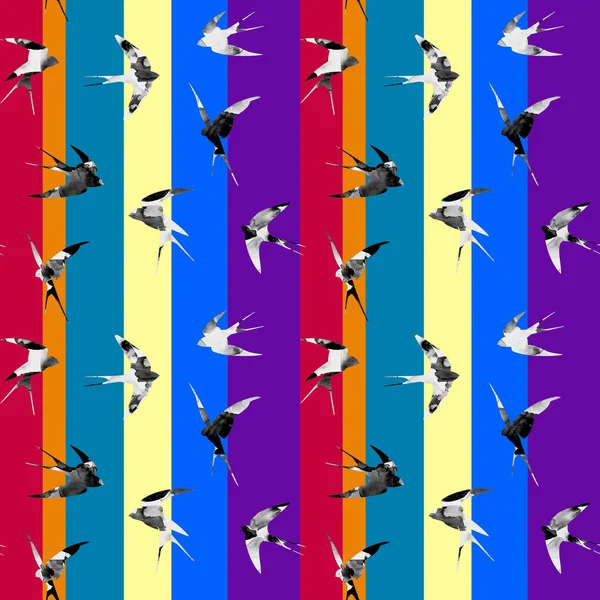 鳥とのシームレスなカラフルな明るいパターン — ストック写真