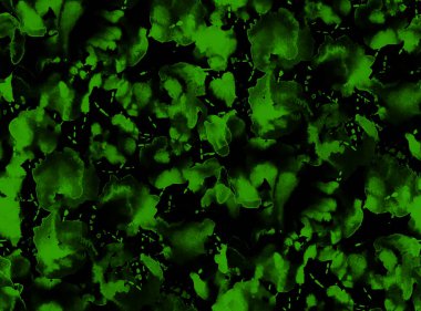 Elleri, bulanık mürekkep lekeleriyle renksiz, parlak desenli.