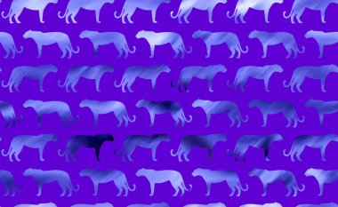 Renkli arka planda leoparları olan kusursuz patte4rn 