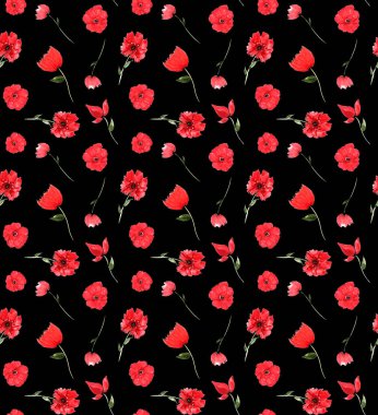 Renkli gelincik çiçekleriyle renksiz, parlak desenli el çizimi.