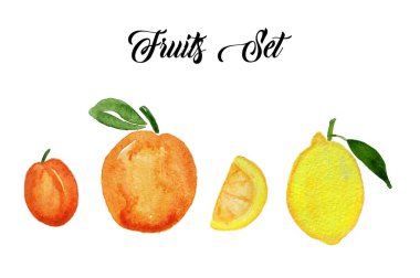 Beyaz arkaplanda el çizimi renkli meyveler