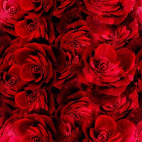 Bezešvé Barevné Jasný Vzor Barevnými Růžemi — Stock fotografie