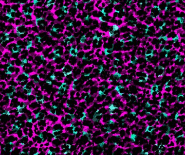 Leopar benekli, renksiz, parlak desenli el çizimi.