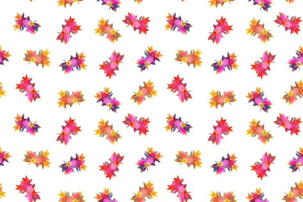 Problemfri Lyse Mønster Med Smukke Farverige Saftige Blomster - Stock-foto
