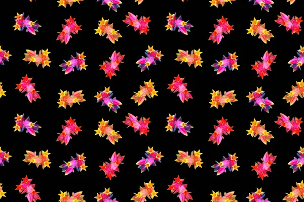 Sömlös Ljus Mönster Med Vackra Färgglada Saftiga Blommor — Stockfoto
