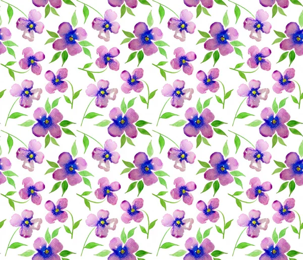 Seamless Colorful Bright Pattern Beautiful Flowers — Stock Photo, Image