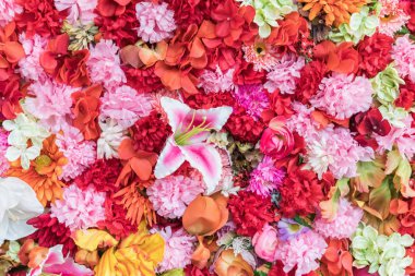 Çiçek renkli arka plan. Birçok substrat içinde tanzimi. Rengi, yapısı çiçek kavramı. Çiçekler çok güzel arka plan düğün sahne için