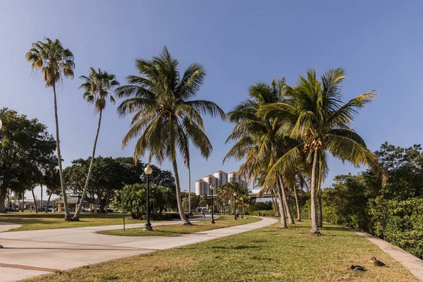 Centennial Park in Fort Myers, Florida. USA — Stock Photo, Image