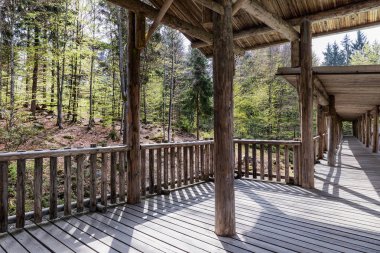 Hayvan izlerken, Bavyera, Almanya için ahşap yaya köprüsü ile ilgilenen. Ormandaki bir çatı ile ahşap köprü.