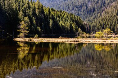 Brüt Arber mount, Bavyera, Almanya ile buzultaş Gölü Kleiner Arbersee. O bir buz devri kalıntı buzultaş gölüdür. Arka planda yansıtılır, dağ evi olduğunu Ausflugsgaststatte Seehausl.